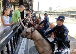 九游体育官网入口-nba季后达拉斯独行侠vs洛杉矶快船
